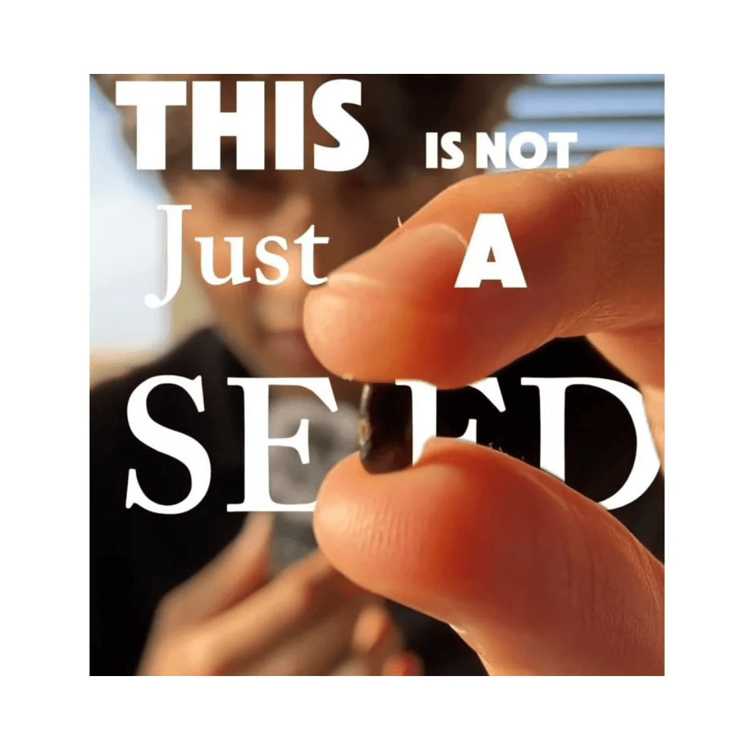 This is not just a seed